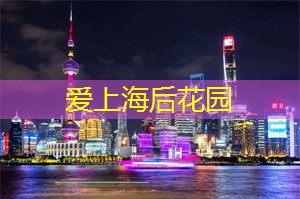 上海新茶工作室：魅力十足的夜间艺术走廊