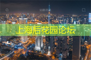 爱上海官网：上海夜晚的社交平台与聚会