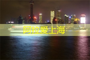 上海娱乐网：体验上海的抖音直播文化